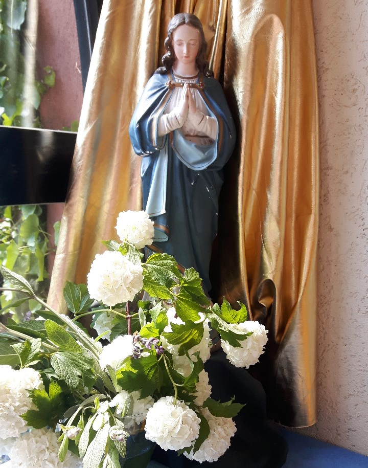 Maialtar 2019